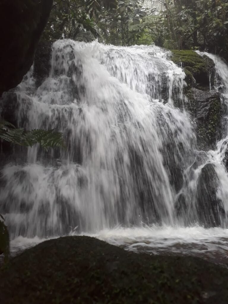 IMG-20230409-WA0031